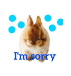まるっと ウサギの まる。happy（個別スタンプ：30）