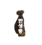 ポメプー くるんちゃんの百面相～韓国語～（個別スタンプ：11）