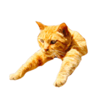 猫のカク（個別スタンプ：4）