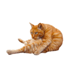 猫のカク（個別スタンプ：7）