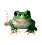かえるといぬ（個別スタンプ：3）