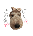 かえるといぬ（個別スタンプ：4）