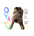 かえるといぬ（個別スタンプ：6）