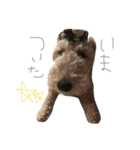 かえるといぬ（個別スタンプ：12）