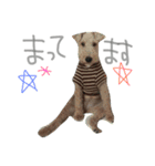かえるといぬ（個別スタンプ：14）