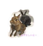 うーちゃんとゆかいな仲間達（個別スタンプ：13）