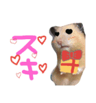 renkun！（個別スタンプ：24）