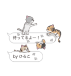 【ひろこ】猫だらけの吹き出し（個別スタンプ：15）