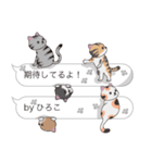 【ひろこ】猫だらけの吹き出し（個別スタンプ：30）