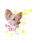 てでくんvol.2☺︎（個別スタンプ：1）