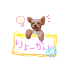 てでくんvol.2☺︎（個別スタンプ：8）