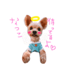 てでくんvol.2☺︎（個別スタンプ：14）