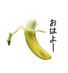 元気なバナナ（個別スタンプ：1）