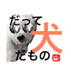 篠原家のもふもふ（個別スタンプ：1）