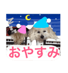 篠原家のもふもふ（個別スタンプ：5）