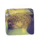 Mocha and Yuki of Hedgehogs 2（個別スタンプ：2）