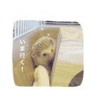 Mocha and Yuki of Hedgehogs 2（個別スタンプ：4）