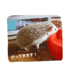 Mocha and Yuki of Hedgehogs 2（個別スタンプ：7）