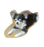 remo（個別スタンプ：1）