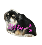 remo（個別スタンプ：3）