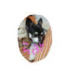 remo（個別スタンプ：7）
