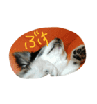 remo（個別スタンプ：8）