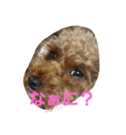 大きい目（個別スタンプ：6）
