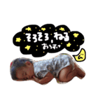 ousukeSticker~1th（個別スタンプ：12）