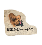 DockDock2（個別スタンプ：3）