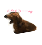 DockDock2（個別スタンプ：4）