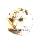 The mingcat ！（個別スタンプ：4）