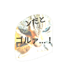 The mingcat ！（個別スタンプ：6）