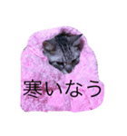 ロック ちゃん（個別スタンプ：2）