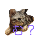 ロック ちゃん（個別スタンプ：3）