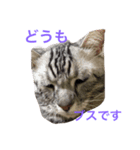 ロック ちゃん（個別スタンプ：4）