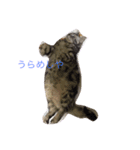 ロック ちゃん（個別スタンプ：5）
