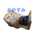 ロック ちゃん（個別スタンプ：8）