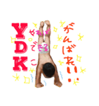 子供と少し祖父母（個別スタンプ：15）