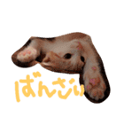 mikerangero2（個別スタンプ：4）