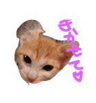 mikerangero2（個別スタンプ：6）