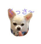 あびこさんちのビビ丸王子（個別スタンプ：2）