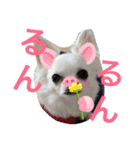 あびこさんちのビビ丸王子（個別スタンプ：11）