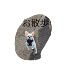 あびこさんちのビビ丸王子（個別スタンプ：20）