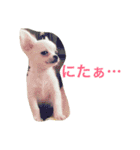 あびこさんちのビビ丸王子（個別スタンプ：21）
