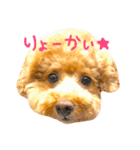 鈴木みつばのスタンプ（個別スタンプ：1）
