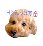 鈴木みつばのスタンプ（個別スタンプ：3）