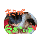 古木スタンプ( ☆∀☆)（個別スタンプ：14）
