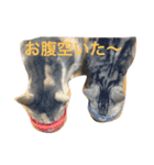 ねこまりさりちぃ（個別スタンプ：2）