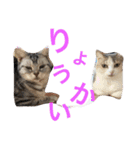 ねこまりさりちぃ（個別スタンプ：4）