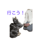 ねこまりさりちぃ（個別スタンプ：9）